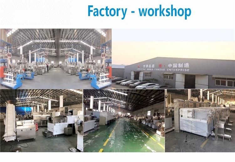Commercial Automatic Continuous Food Snack Fryer