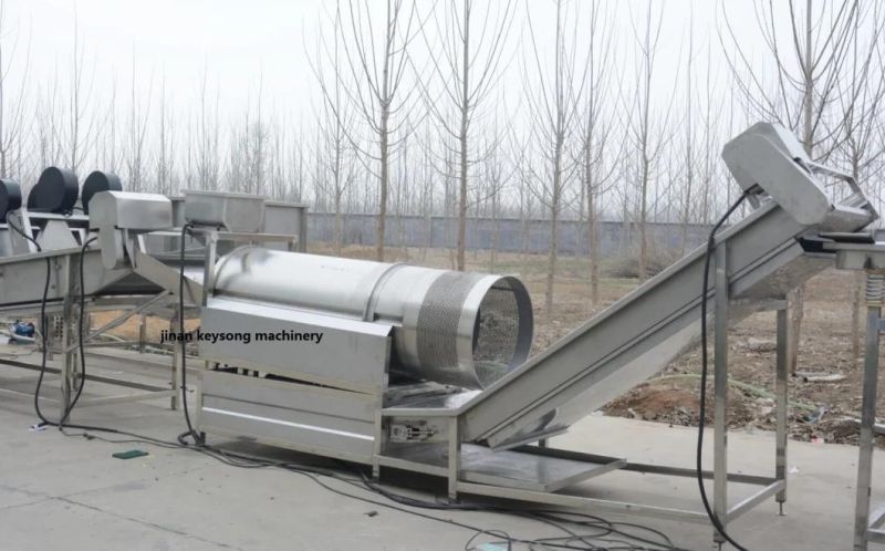 Automatic High Capacity Oil and Powder Spray Flavoring Line