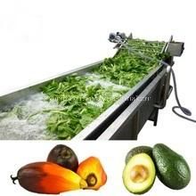 High Pressure Vegetable and Fruit Washer/ Washing Machine / Washing Production Line