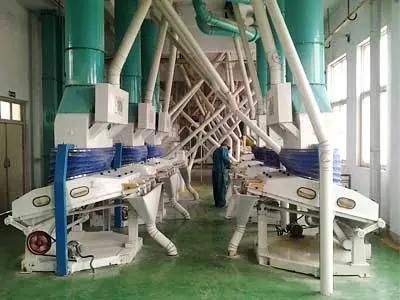 Corn Maize Flour Meal Bran Grits Processing Grinding Milling Machine