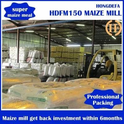 Mozambique 30tpd Maize Milling Machines Running