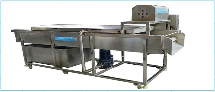 Parallel Brush Wahing Machine for Carrot Cucumber Potato and Fruit Orange