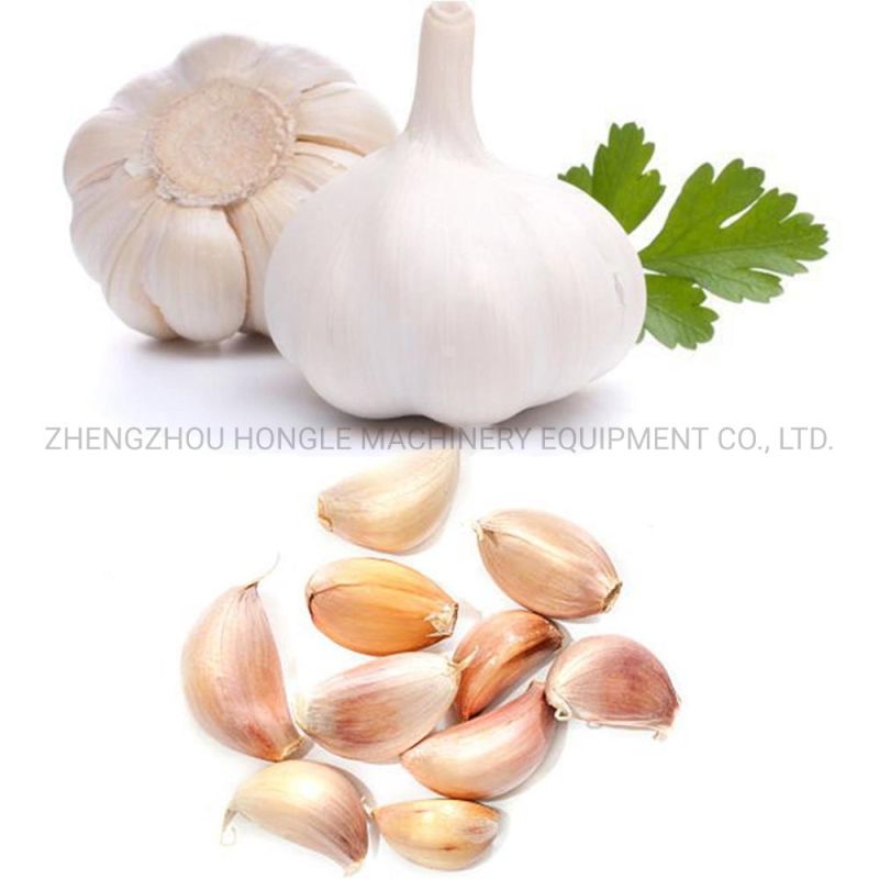 Automatic Garlic Clove separator Seperating Breaking Flapping Peeling Peeler Machine