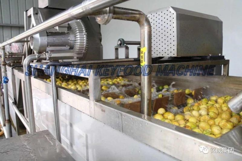 Stainless Steel Fully-Automatic Juice Production Line with Ce