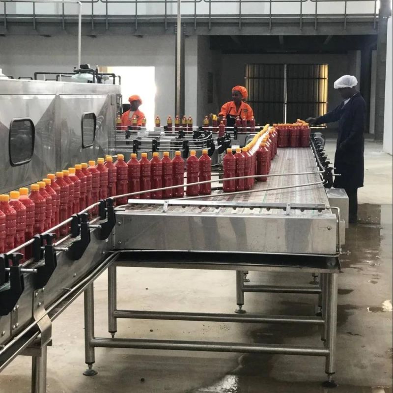 Fully-Automatic Vegetable Processing Plant for Tomato Paste