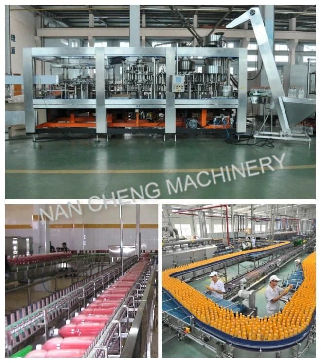 Exquisite Workmanship Bottle Concentrate Hot Drinking Juice Filling Machine