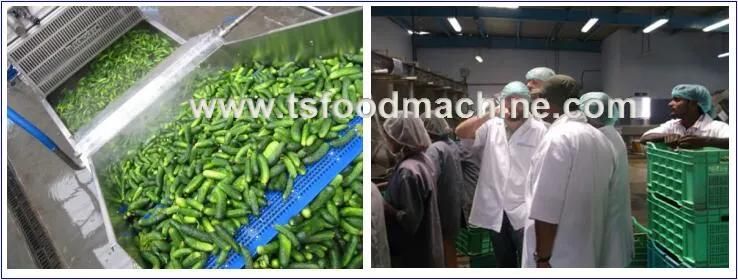 Pickles Processing Machine and Pickles Mixing Machine