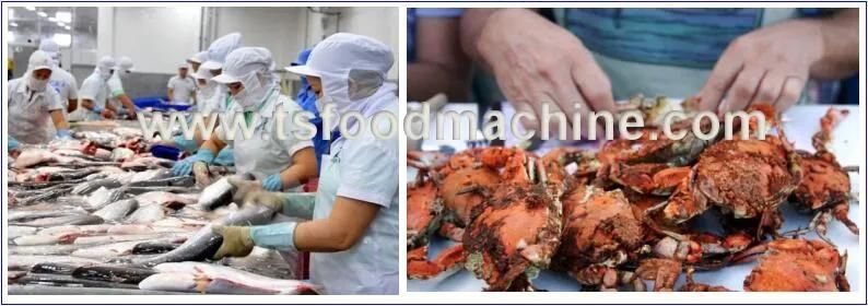 Seafood Processing Machine and Seafood Mixing Equipment