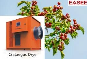 Hot Air Recycled Tray Type Automaic Crataegus Dryer Dehydration