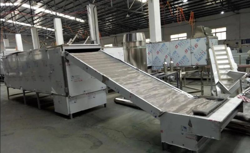 Fruit Vegetable Ginger Pepper Mesh Belt Tunnel Drying Machine