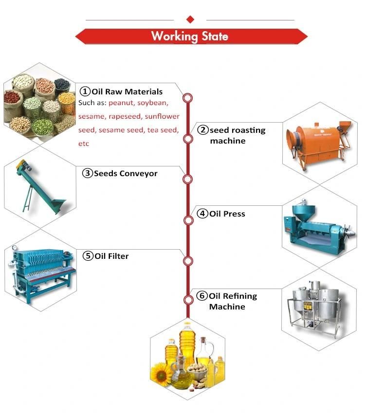 Cotton Seed Oil Production Line Cotton Seed Oil Press High Oil Yield Oil Machinery