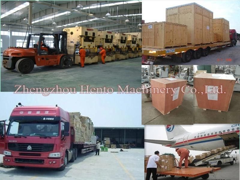 Easy To Operate Quail Egg Shelling Machine / Egg Processing Machine