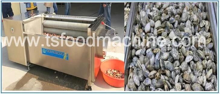 Scallop Washing Machine and Seafood Washer Wash Machine