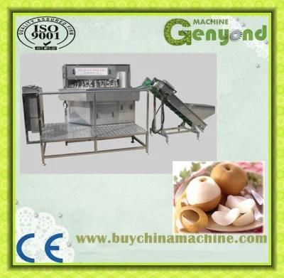 Electricity Apple Peeling Machine