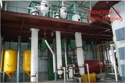 Turnkey Compelete Peanut Groundnut Oil Production Line Extraction Making Pressing Processing Machine with High Quality