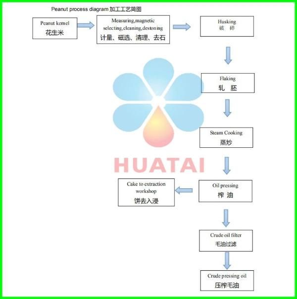 High Quality Peanut Oil Extraction Equipment of Groundnut in Peru