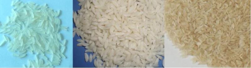 Fortified Rice Extruded Making Machine Extruded Aritificial Rice Making Processing Line for Sale