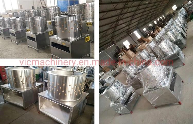 Poultry Scalding and Plucking Machine