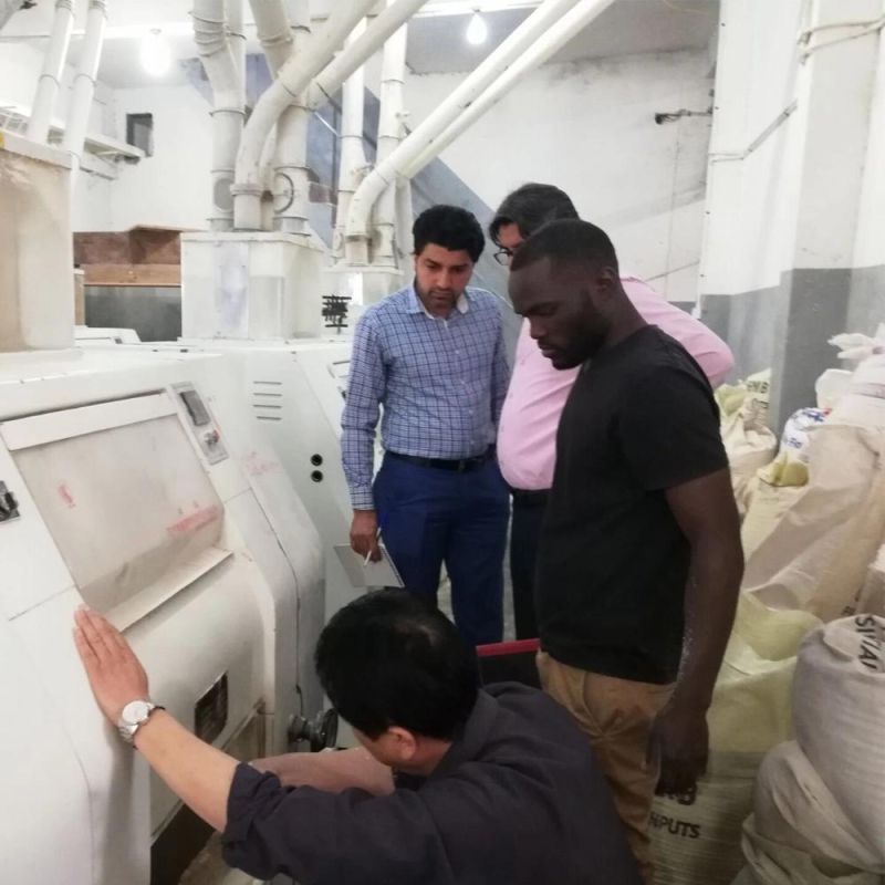 Maize Milling Machine for Factory