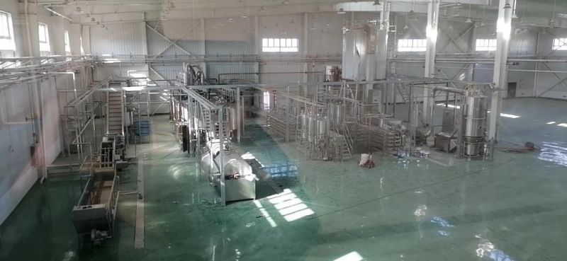 Baby Supplementary Food/Pumpkin Puree/Pumpkin Paste Processing Line/Base-Removing Machine/Aseptic Filling Machine