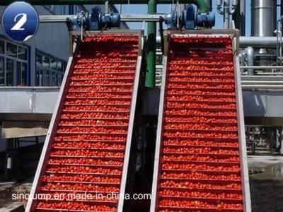 Tomato Paste Concentration Processing Production Line