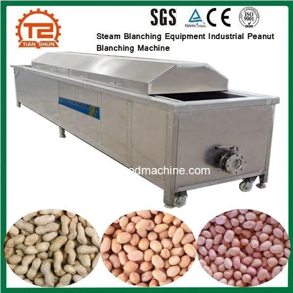 Steam Blanching Equipment Industrial Peanut Blanching Machine