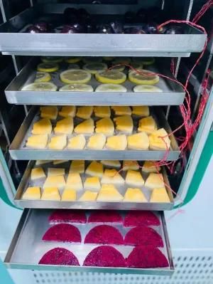 Vacuum Food Freeze Dryer Drying Machine