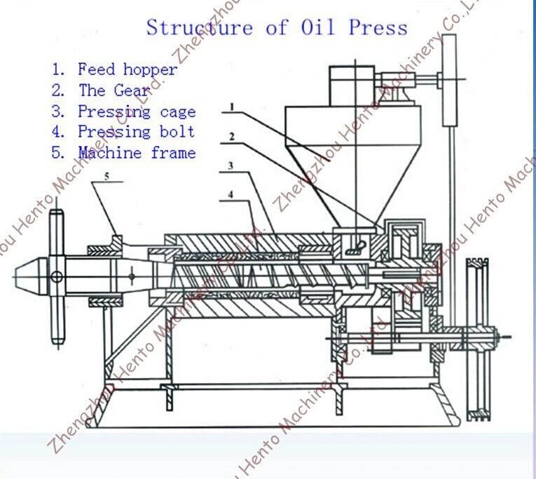 Full Automatic Oil Expeller With Factory Price