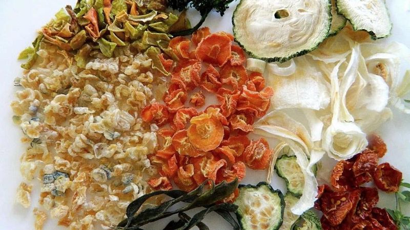 Top Quality Best Price Fruit Vegetable Mesh Belt Dryer