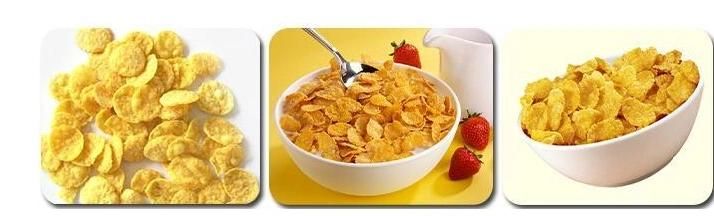 Hot Sale Popular Automation Delicious Corn Flakes Making Machine