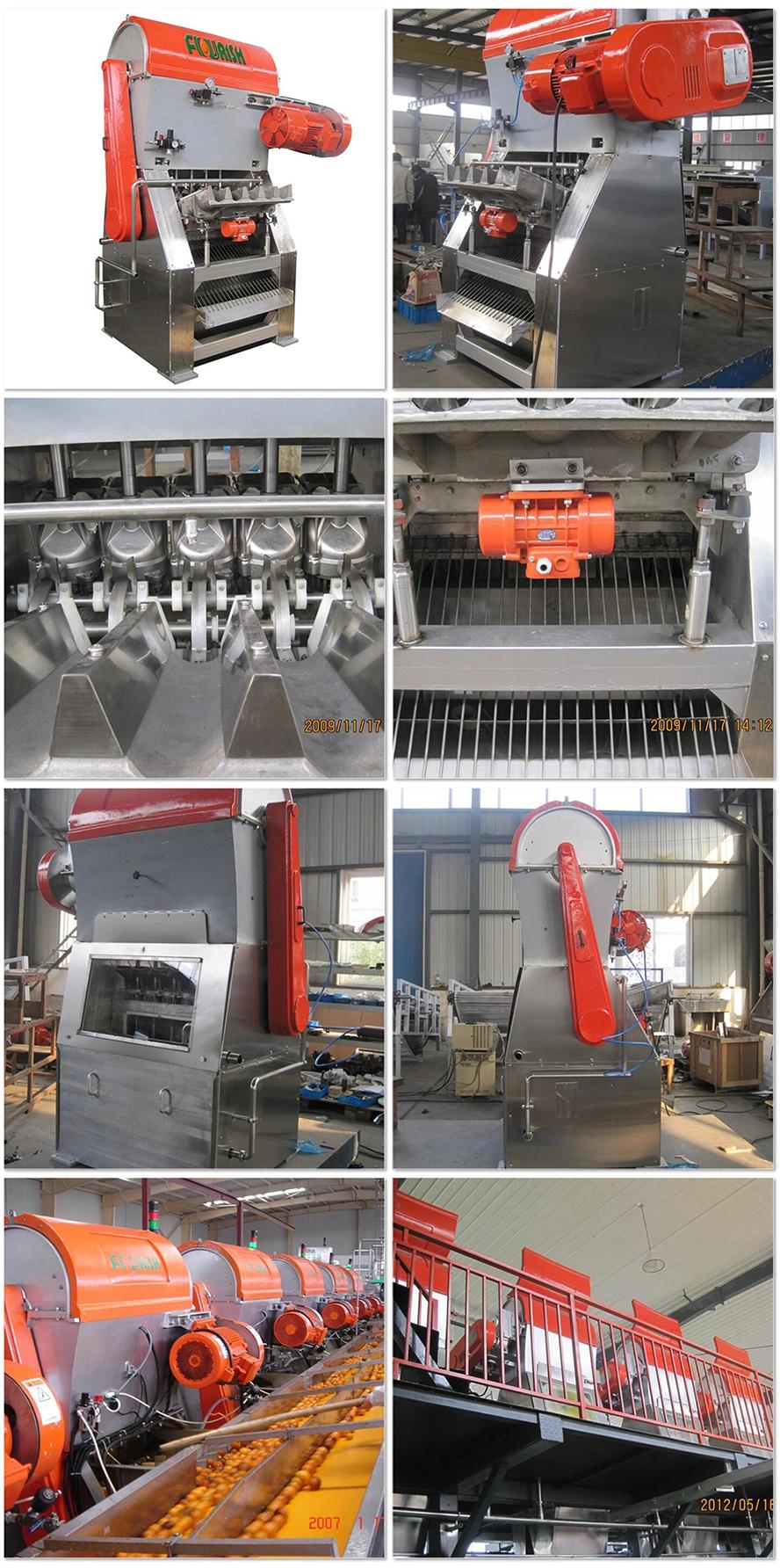 Industrial Juicer Commercial Cold Press Juicer Sugar Cane Juice Extractor