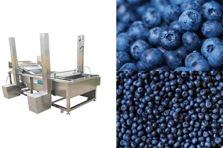 Automatic Fruits Cleaning Washer Blueberry Air Bubble Washing Machine