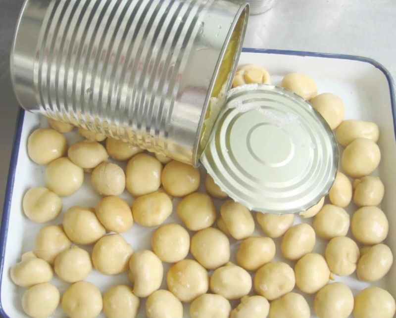 Automatic Pasteurizer and Cooling Tunnel Pasteurization for Mushroom Machine