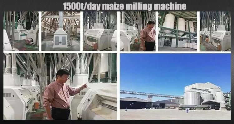 Hongdefa Maize Milling Plant Corn Flour Mill Machine in Zimbabwe