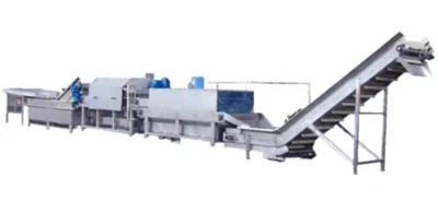 Low Cost Air Bubble Fruit Vegetable Washing Machine