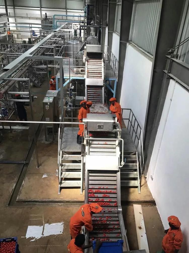 Tomato Puree Processing Plant for Europe