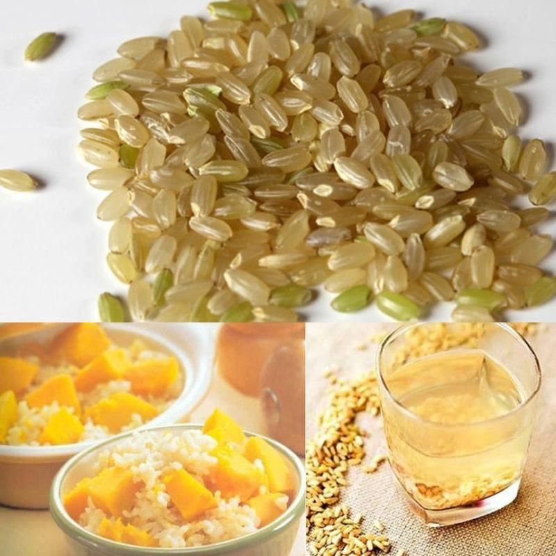 Best Selling Artificial Rice Nutritional Making Machine