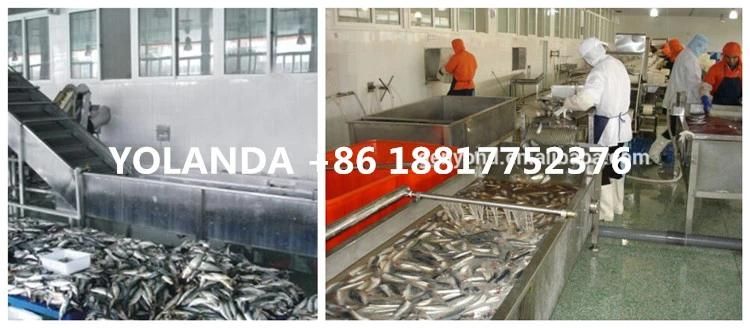 High Efficiency Sardines in Oil Processing Machine
