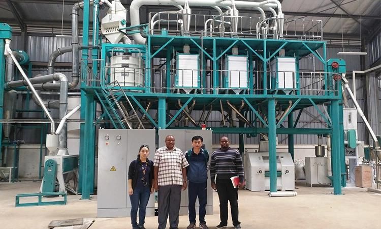 Popular 50t Maize Milling Machine in Kenya for Maize Meal