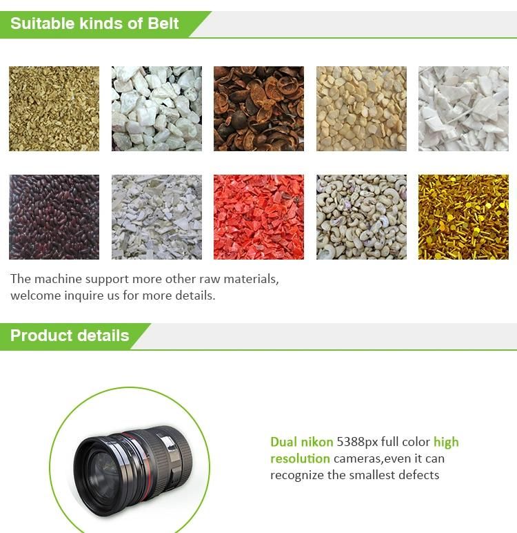 Macadamia Nuts Processing Sorting Machine Macadamia Nut Grading Machine