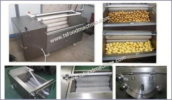 Industrial Potato Machine and Potato Washing Peeling Machine