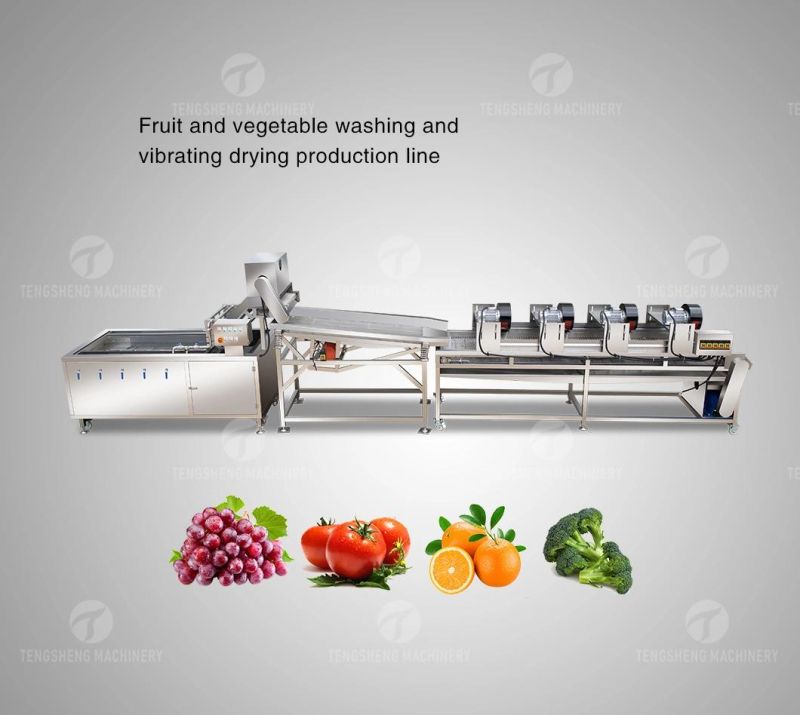 Multifunctional Food Processing Machine Fruit Vegetable Washing Washer Carob Tomato Cleaner Bubble Cleaning Vibration Drying Production Line Food Processor
