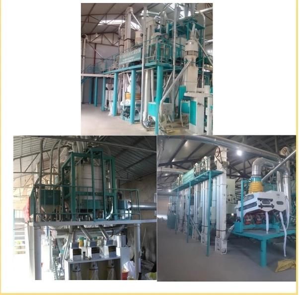 100t/Day Complete Maize Flour Milling Machine for Sale