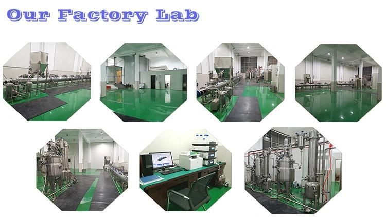 New Design SIP Biological Machenical Stirring Fermentation Tank