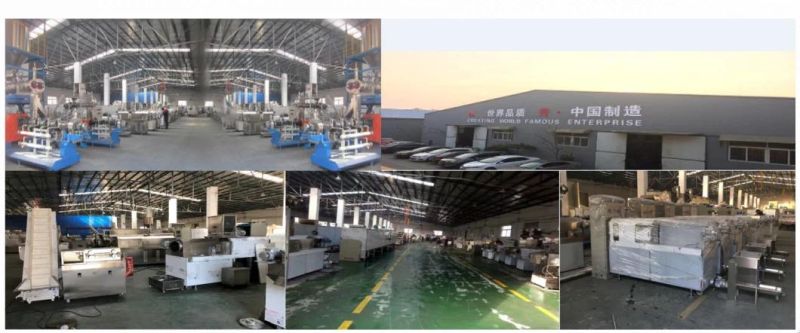 New Fully Automatic Semi- Automatic Frozen French Fries Plant