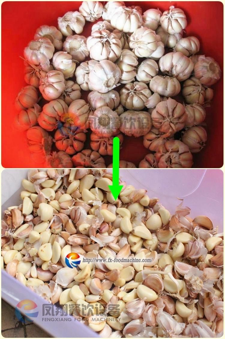 Industrial Automatic Electric Ce Certificated Garlic Bulb Clove Separator