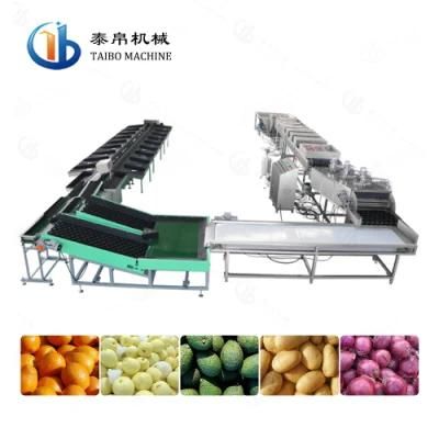 Fruit Vegetable Washing Waxing Weight Grading Line for Factory