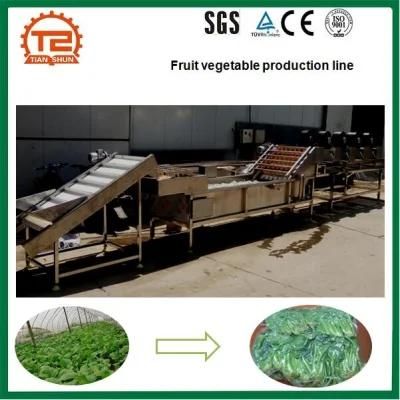 Fruit and Vegetable Processing Line with Washing Cutting Drying and Packing Machine