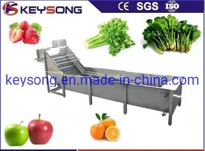Easy Operatiion Fruit Vegetable Bubble Washing Machinery