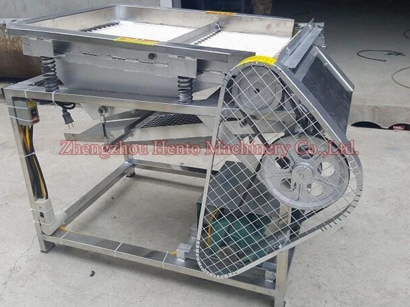 Bean Sprout Cleaning Machine Sprout Peeling Machine